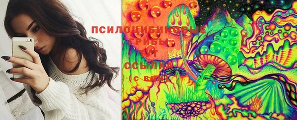 прущий лед Кодинск