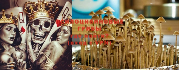 прущий лед Кодинск