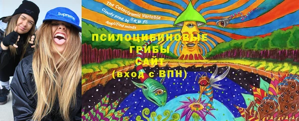 прущий лед Кодинск